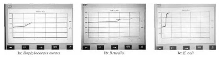 ?布鲁菌血培养仪结果及生长曲线特点研究