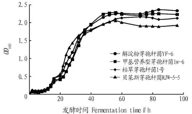 枯草芽孢杆菌1号、解淀粉芽孢杆菌YF-6等生长曲线阶段划分与观察
