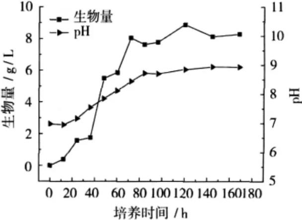 ?刺糖多孢菌生长曲线的测定与最佳培养温度