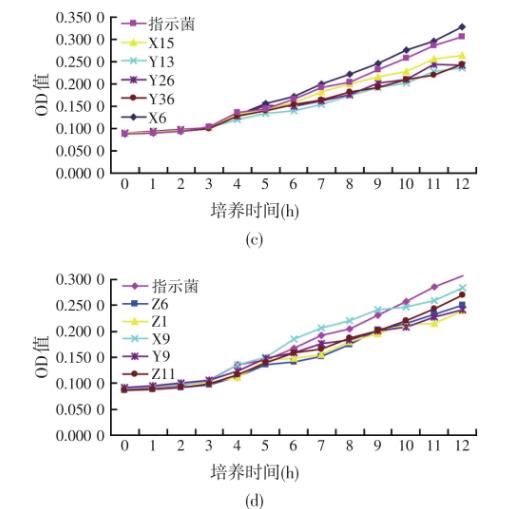 大黄鱼病原性哈维氏弧菌在试验菌发酵上清液拮抗下的生长曲线