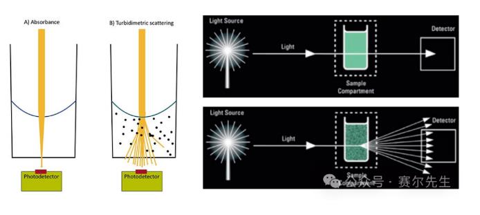 ?OD600是什么意？OD600测量细胞浓度的原理