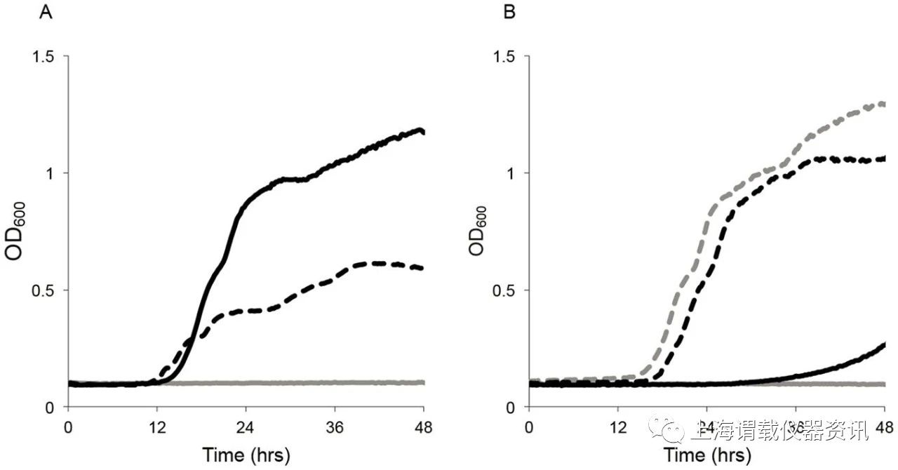 鼠疫杆菌菌株在麦芽糖培养基环境下对应的生长曲线图
