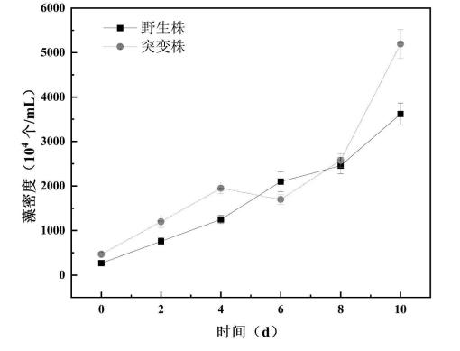 高效固碳优势微藻突变株应用于污水处理，去污效果好，成本低