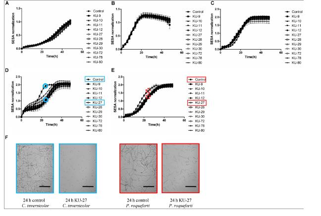 源自丹麦奶酪盐水的天然汉森德巴利菌菌株生长曲线及抗真菌活性