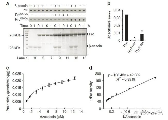 VgrS受体细菌组氨酸激酶在NYG培养基中的的生长曲线图