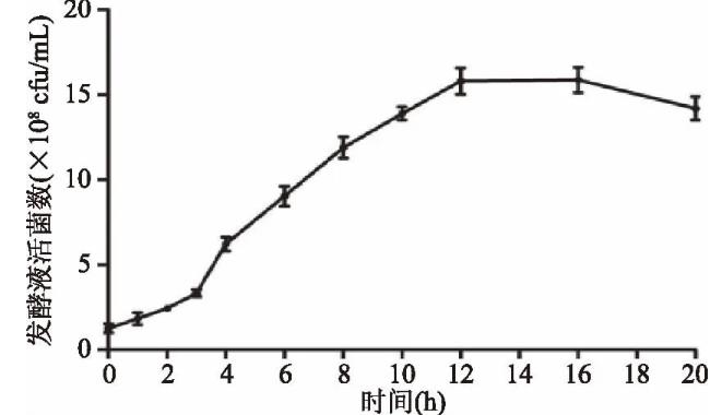 鼠李糖乳杆菌生长曲线、温度诱导对菌体生长速率的影响