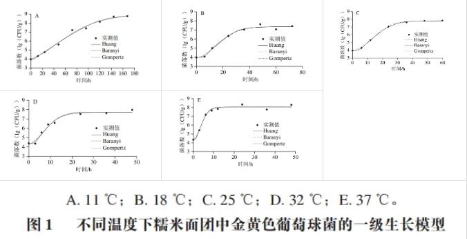 4～37℃条件下金黄色葡萄球菌在糯米面团中的生长规律
