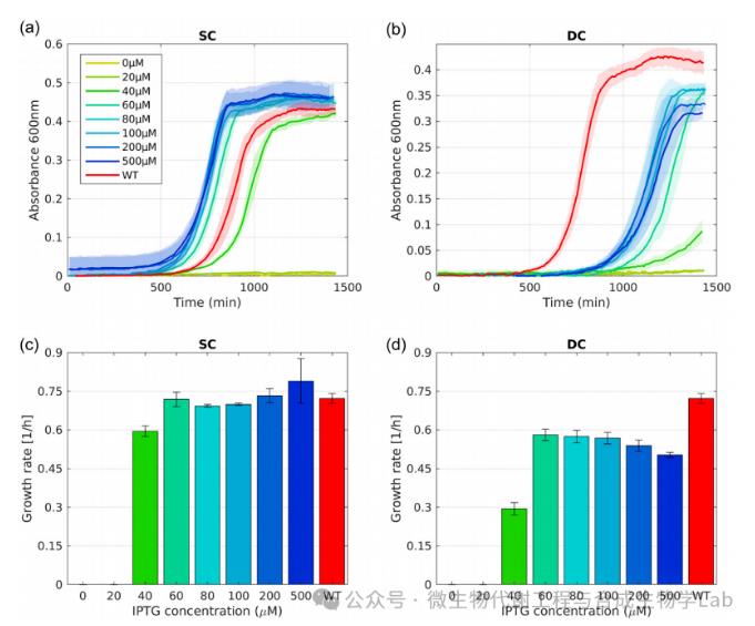 菌株双控制生长开关及其应用的遗传稳定性（一）