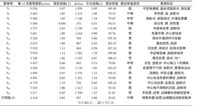 野生黑木耳N56菌株分离纯化、菌丝生长速率实验（一）