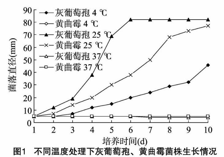 不同温度、pH值、光照及培养基对灰葡萄孢、黄曲霉菌株生长影响