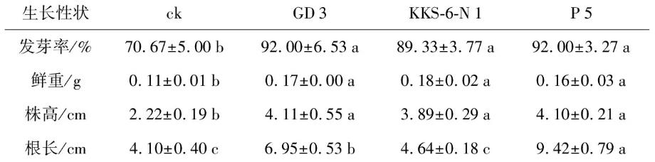 茶树根际细菌菌株P5菌株对花生种子的促生机制
