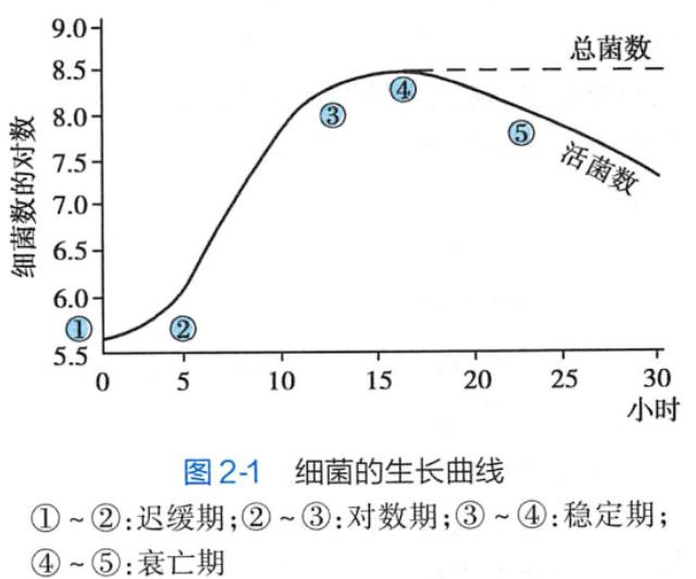 细菌的生长繁殖与环境条件