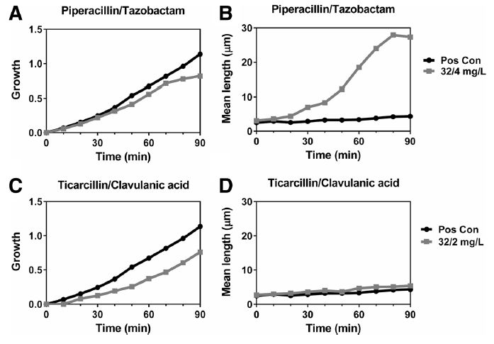微生物生长动态监测系统的应用：研究β-内酰胺类抗生素对丝状化的诱导能力