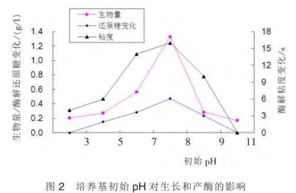 不同碳源、氮源、培养温度、PH值对褐藻酸降解菌AGN12菌生长及产酶的影响