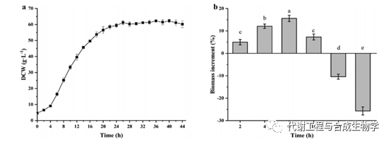 超声波处理对谷氨酸棒状杆菌生长、形态、通透性的影响