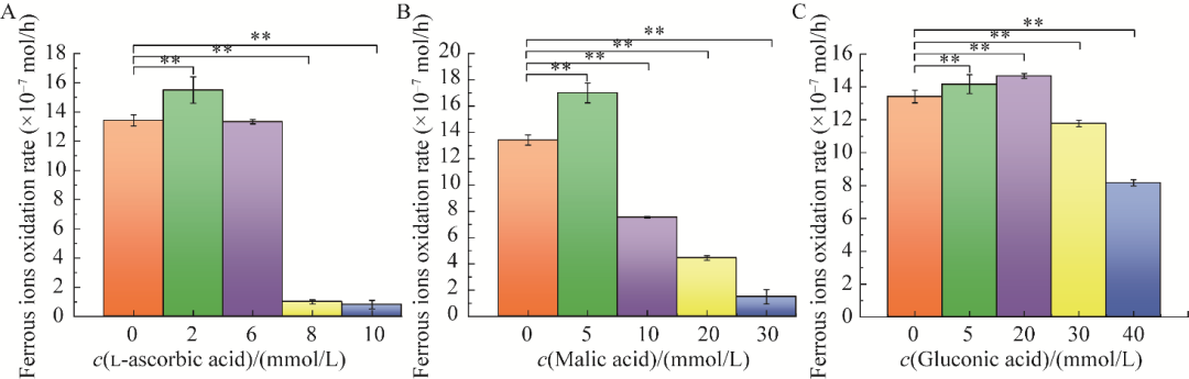 10种有机物对氧化亚铁硫杆菌BYM磁小体生长、合成、发酵、产量的影响（一）