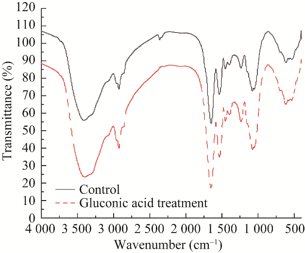 10种有机物对氧化亚铁硫杆菌BYM磁小体生长、合成、发酵、产量的影响（三）