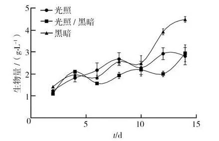 不同光照、pH条件对血红密孔菌培养过程中生物量、总抗氧化能力的影响（一）