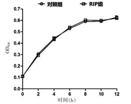 RIP 衍生物对?耐甲氧西林金黄色葡萄球菌生长曲线及生物膜形成的影响（一）
