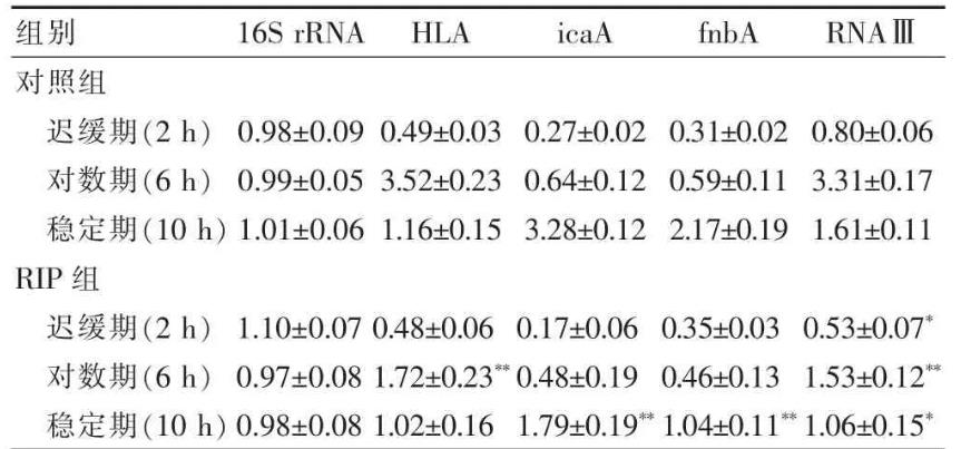 RIP 衍生物对?耐甲氧西林金黄色葡萄球菌生长曲线及生物膜形成的影响（二）