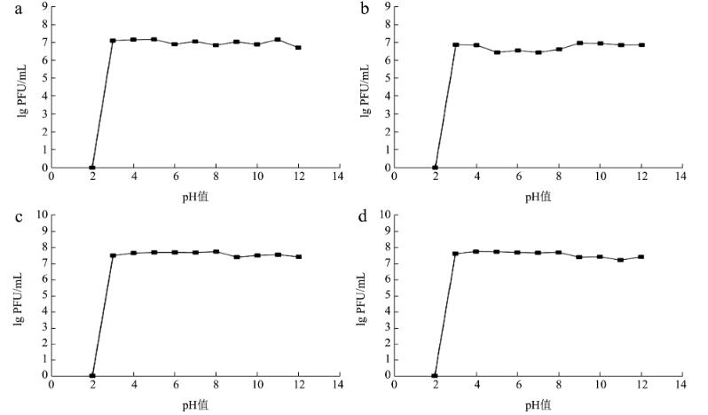 ?4株金黄色葡萄球菌噬菌体形态、生物学特性、生长曲线及基因组特征（二）
