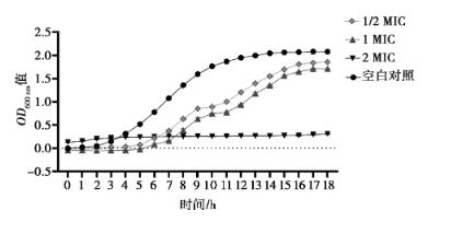 中药单体组合物绿原酸、黄芩苷、厚朴酚对大肠杆菌生长曲线的影响
