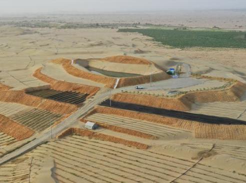 ?沙漠微生物菌株的应用价值有哪些