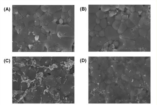 棉子糖抑制变异链球菌生物膜形成机制研究进展（二）