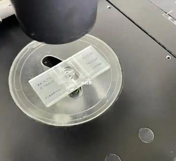 尿路感染患者尿常规检验时，如何对细菌计数？