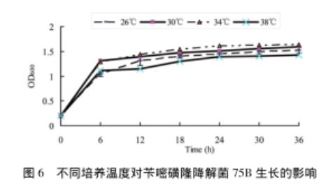 苄嘧磺隆降解菌株75B的生长曲线、生长及降解（二）