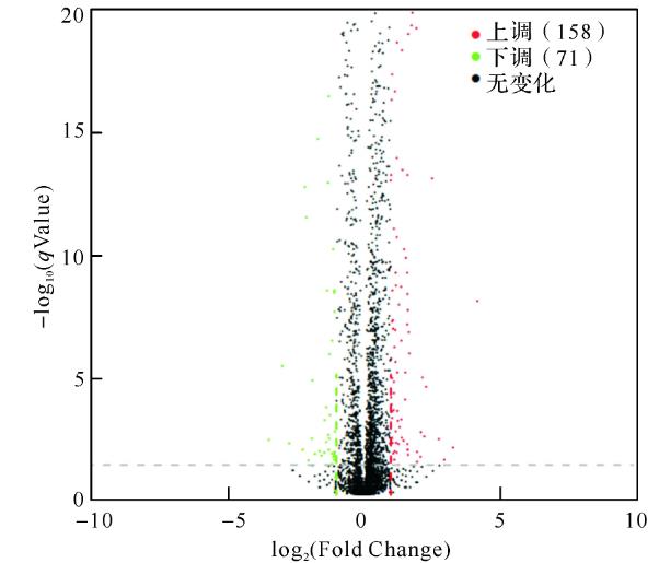 模拟失重条件下大肠埃希菌转录组测序、差异基因及富集分析结果（二）