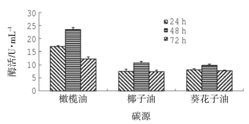 产脂肪酶地衣芽孢杆菌LD-1302筛选、培养基及产酶条件研究（三）