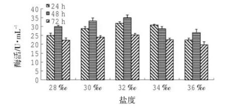 产脂肪酶地衣芽孢杆菌LD-1302筛选、培养基及产酶条件研究（五）