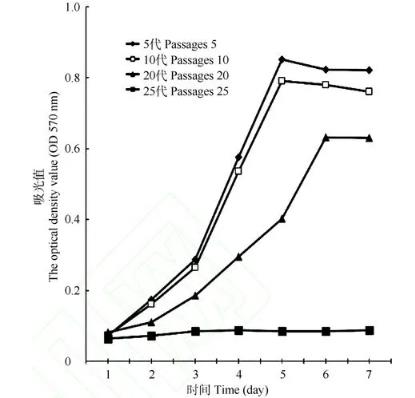 朱鹮细胞系的建立、体外生长特征、性染色体的荧光原位杂交鉴定（二）