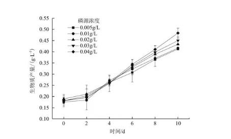 磷浓度对海水钝顶螺旋藻生长和预采收的影响（一）