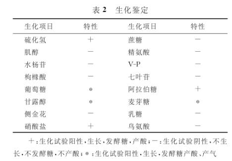 苍鹭养殖如何控制沙门菌??？用什么药好【药敏试验二】