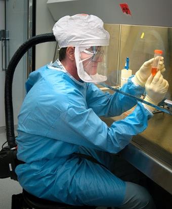 反刍动物瘤胃微生物区系组成与饲料利用率