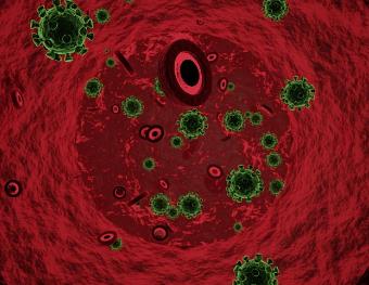 中草药及提取物调控瘤胃菌群的代谢组学研究