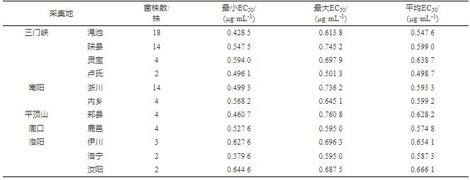 烟草黑胫病菌对氟吗啉与甲霜灵的药敏性分析（一）