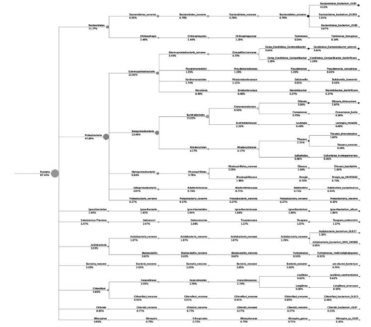 制药废水生化处理过程中硝化菌分离筛选、生长曲线的测定（一）