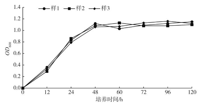 制药废水生化处理过程中硝化菌分离筛选、生长曲线的测定（二）