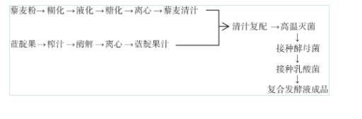 藜麦和蓝靛果酵母菌株筛选、培养、计数及混菌液态发酵工艺优化（一）