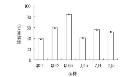 呕吐毒素又叫什么？降解呕吐毒素菌株特征、危害研究