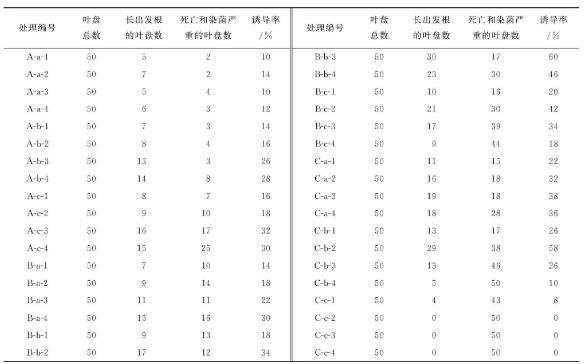 发根农杆菌Ri质粒构建灯盏花发根最优的培养体系（二）