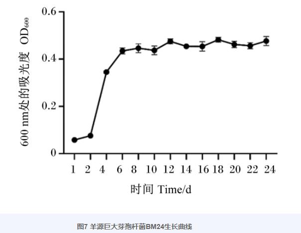 巨大芽孢杆菌BM24生长曲线、耐药性、益生潜力评估及药敏试验（四）
