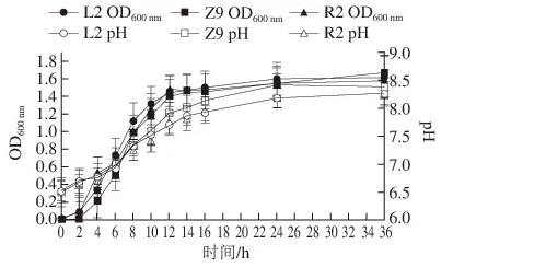 适用于低盐发酵香肠葡萄球菌与乳酸菌生长特性及产酸能力测定及筛?。ㄋ模? title=