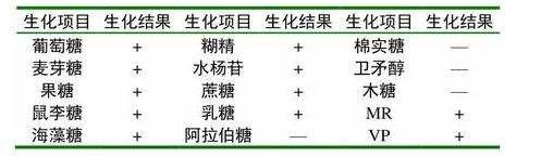 水貂李氏杆菌的分离鉴定、生化试验、药敏实验、毒力试验——材料与方法