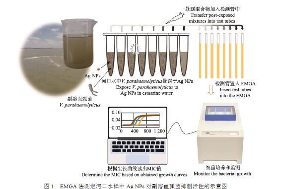 微生物生长曲线监测仪测定纳米银对副溶血弧菌的最小抑菌浓度（二）