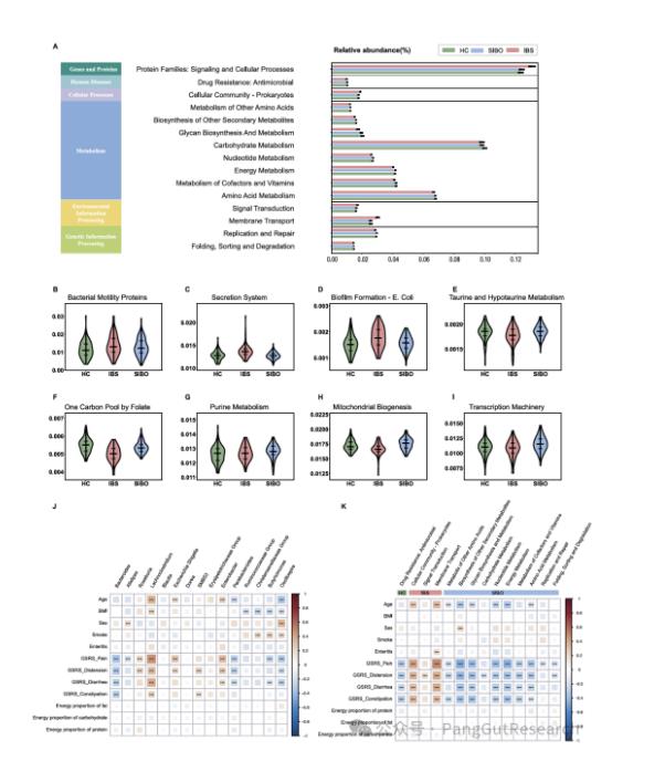 IBS与SIBO症状严重程度、粪便微生物组方面的差异