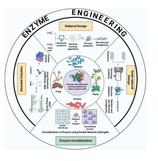 极端微生物和极端酶的分离过程与潜在应用